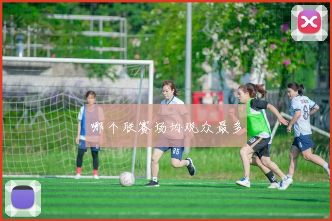 哪个联赛场均观众最多