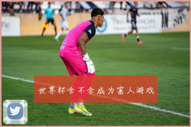 世界杯会不会成为富人游戏