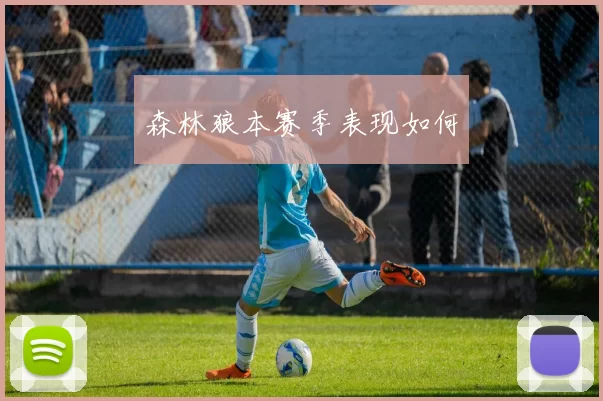森林狼本赛季表现如何