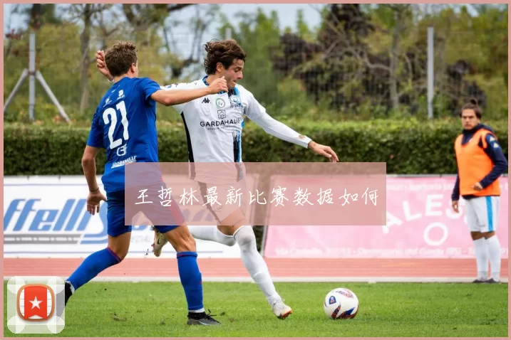 王哲林最新比赛数据如何