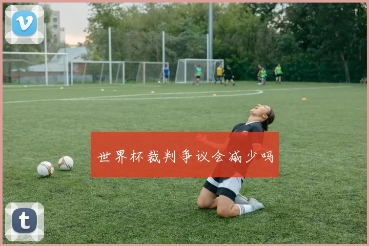 世界杯裁判争议会减少吗